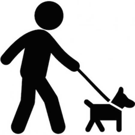 Renewal of the Dog Control and Dog Fouling Public Spaces Protection Order (PSPO) CY